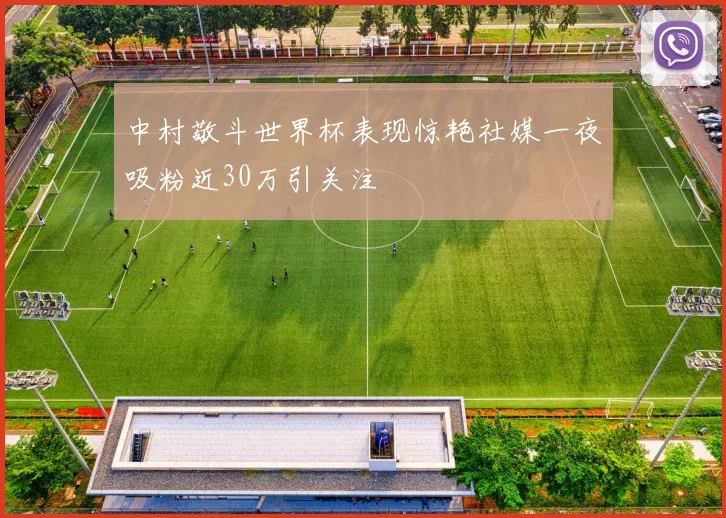 中村敬斗世界杯表现惊艳社媒一夜吸粉近30万引关注