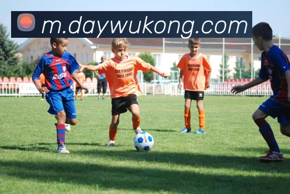 悟空体育APP 封面图